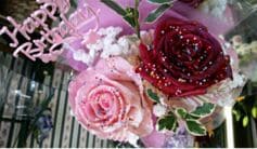 Cupcake Rose